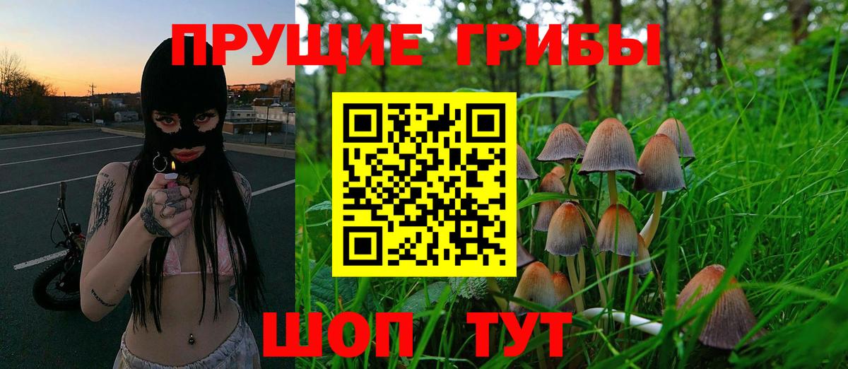 Псилоцибиновые грибы Magic Shrooms  Вход с VPN  Зима 
